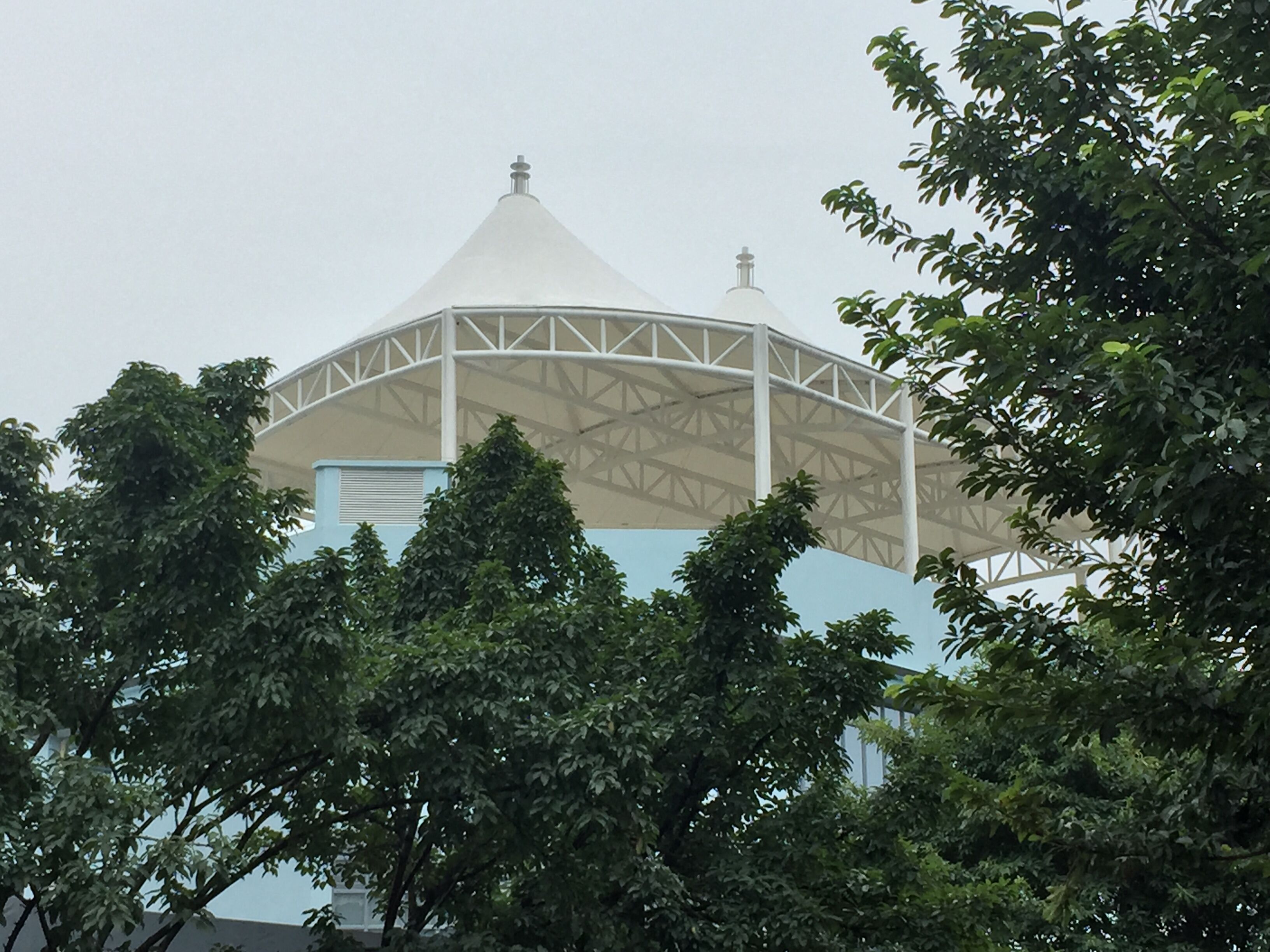 香港买马官方网站